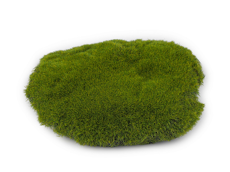 Moss cushion for decoration
