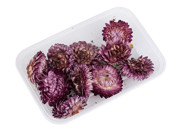 Sušené / stabilizované slaměnky pro suché i mokré aranžování