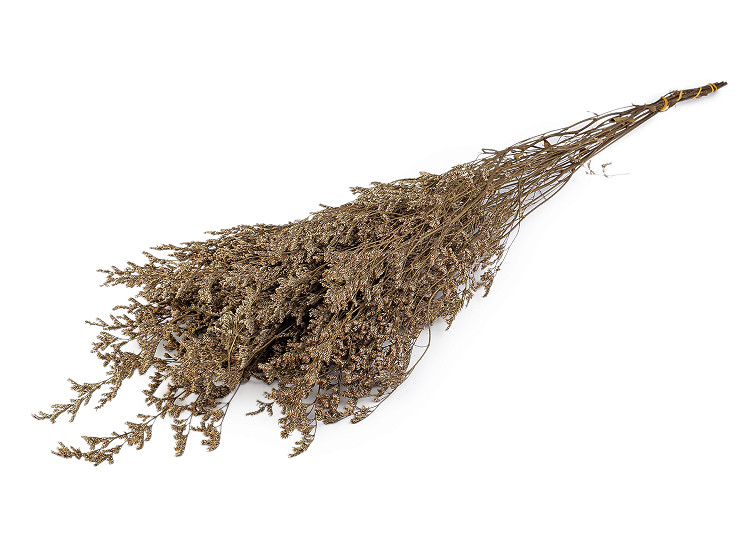 Stabilizovaná statice svazek