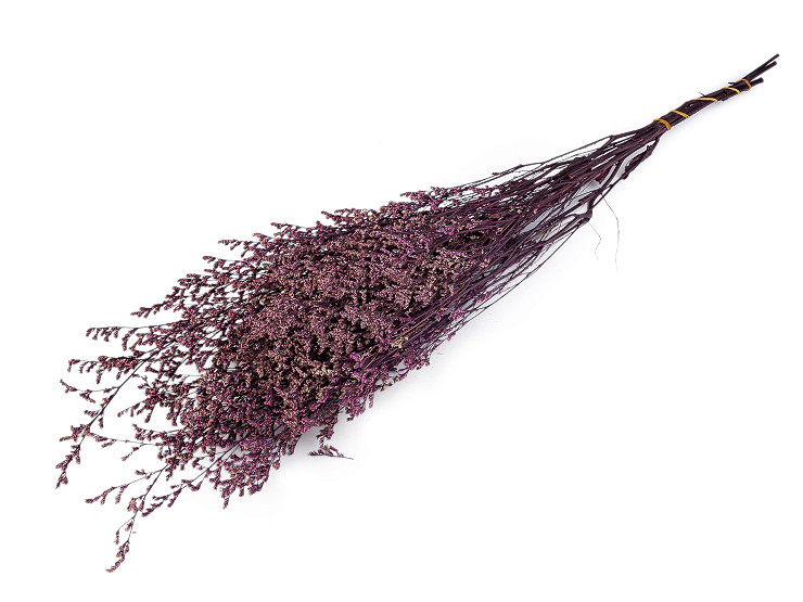 Stabilizovaná statice svazek