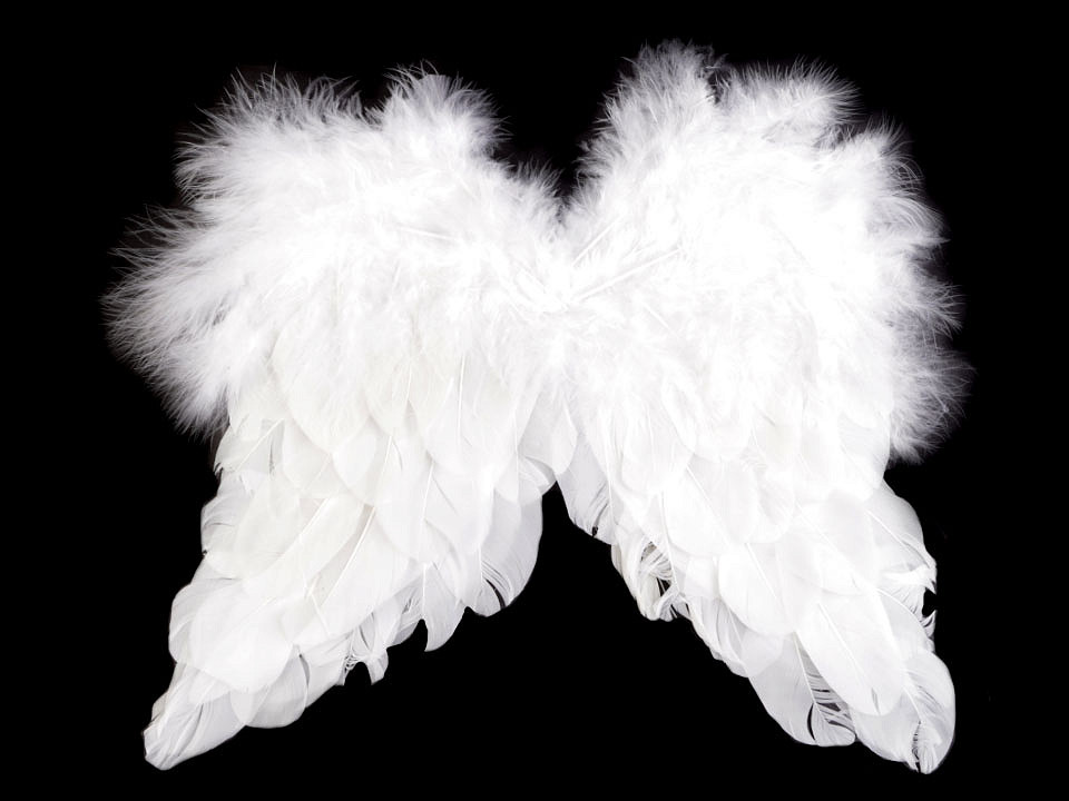 Ailes d'ange, blanches, à plumes, 30cmx40cm / 12…